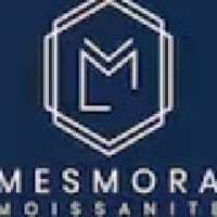 mesmora team