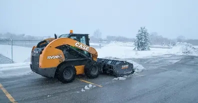 Картинка довгочиту