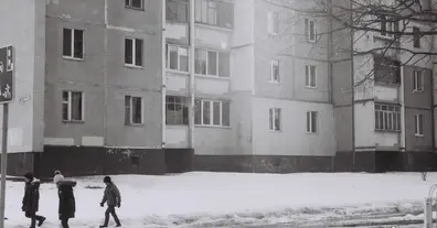 Картинка довгочиту