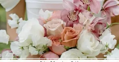 Longread image