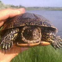 Юра