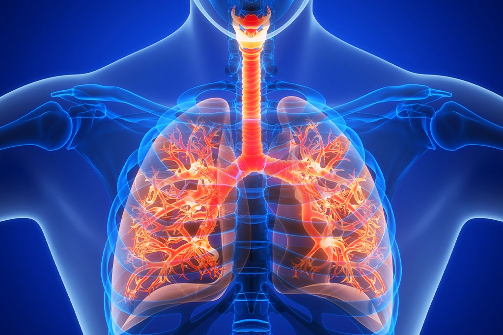 How Does Respiration Occur in Humans? - RobinAge