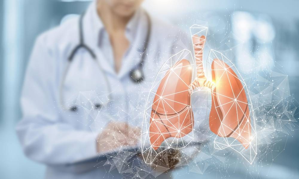Respiratory Wellness: Key Lifestyle Habits for Healthy Lungs