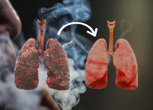 How to Clean Your Lungs After Smoking? Proven Detox Methods for Faster –  Kaya Shree