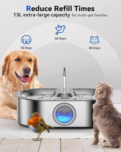 3.4Gal Dog Water Fountain for Large Dogs, 13L Stainless Steel Large Pet Fountain with Deeper & Wider Drinking Area, Automatic Dog Water Bowl Dispenser with Water Window (with 3 Filters) : Amazon.in: